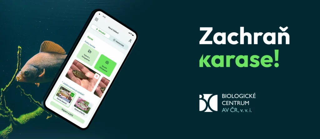 UX – projekt Zachraň karase