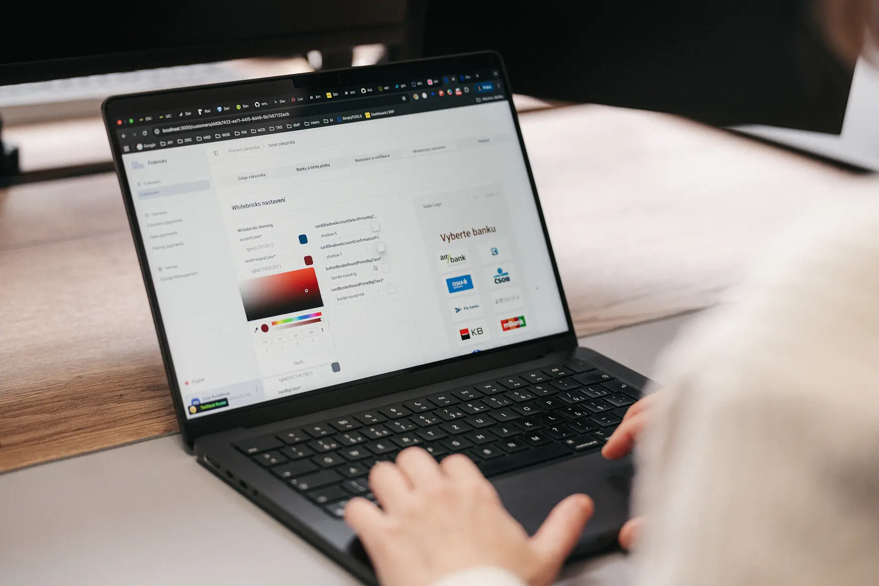 Finbricks - byznysové výzvy 2