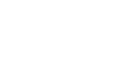 Logo Finbricks